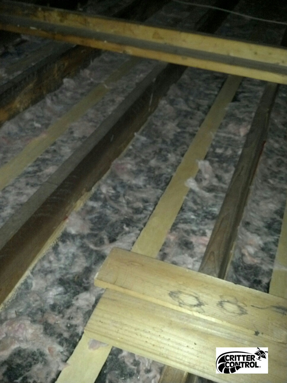 attic restoration in Salt Lake City